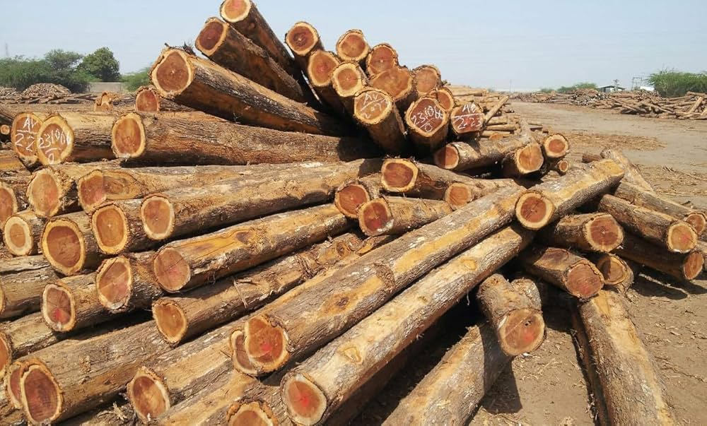 लकड़ी (Wood) का उपयोग image